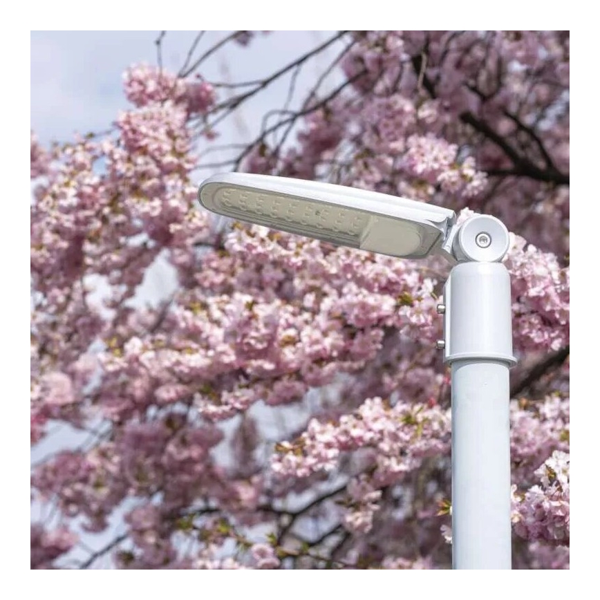 LED gatvės šviestuvas SOLIS LED/50W/230V 4000K IP65