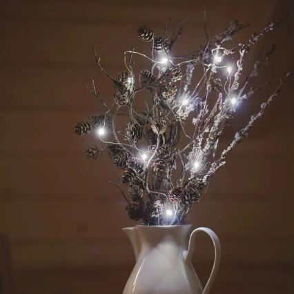 LED  girlianda 20xLED/2xAA 2,4m šaltai balta