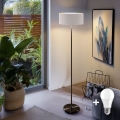 LED grindinė lempa TUNJA 1x E27/20W/230V, skersmuo 38 cm, juoda/balta