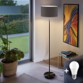 LED grindinė lempa TUNJA 1xE27/20W/230V skersmuo 38 cm juoda/pilkai ruda