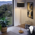 LED grindinė lempa TUNJA 1xE27/20W/230V Ø 38 cm auksinė/juoda