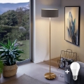 LED grindinė lempa TUNJA 1xE27/20W/230V Ø 38 cm auksinė/ruda