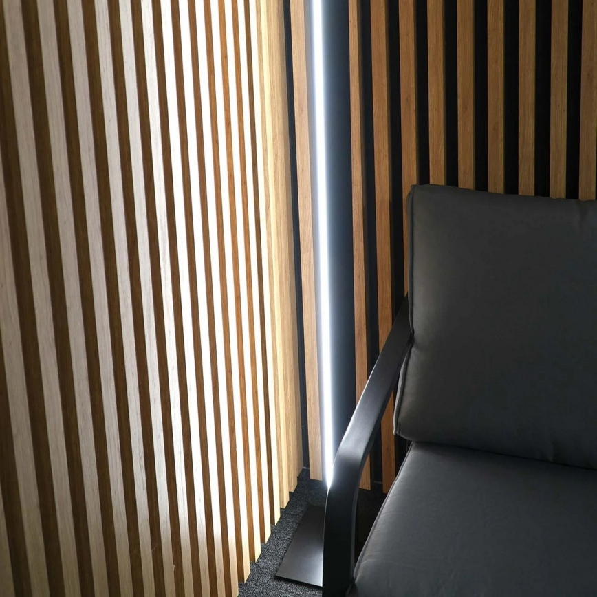 LED grindinis šviestuvas BERNADETTA LED/28W/230V 4000K juodas