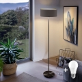 LED grindinis šviestuvas TUNJA 1xE27/20W/230V, skersmuo 38 cm, juoda/ruda