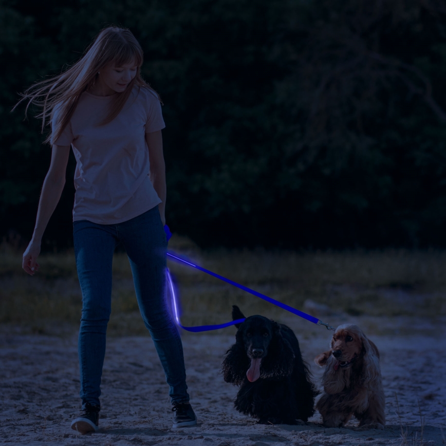 LED Įkraunamas pavadėlis 120 cm 2xCR2032/5V/40 mAh mėlynas