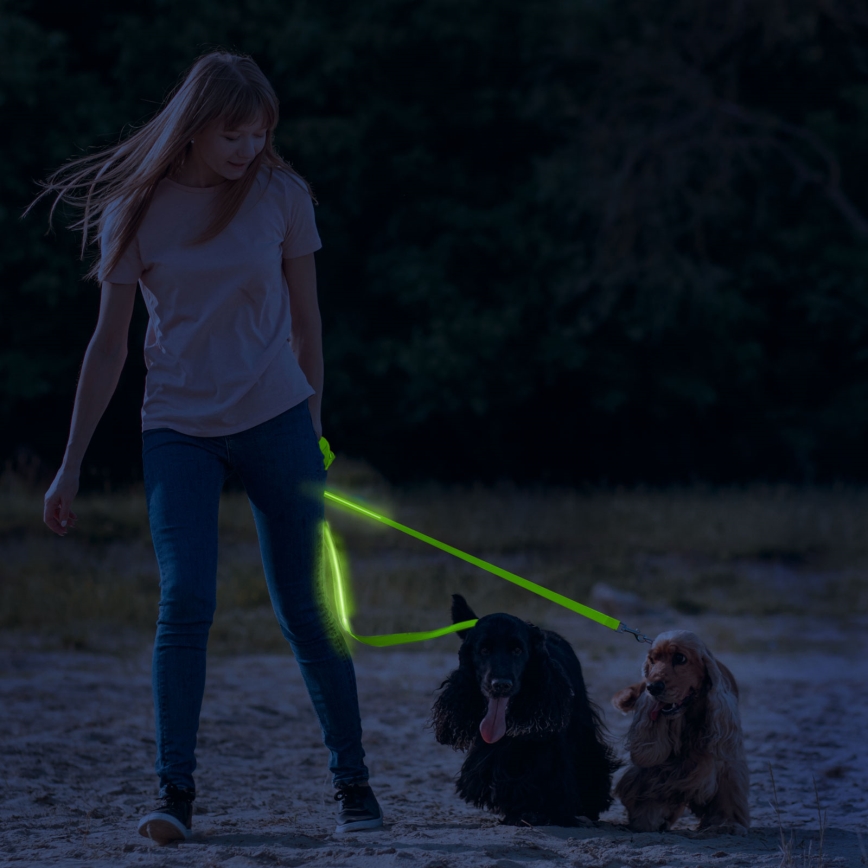 LED Įkraunamas pavadėlis 120 cm 2xCR2032/5V/40 mAh žalias
