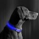 LED Įkraunamas šuns antkaklis 40-48 cm 1xCR2032/5V/40 mAh mėlynas