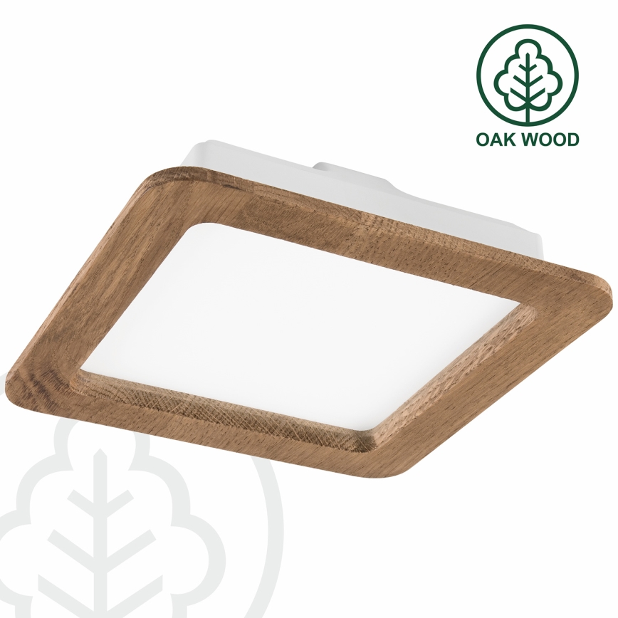 LED įleidžiamas lubinis šviestuvas WOODY SPOT LED/17W/230V 3000K graikinis riešutas 18,5x18,5 cm