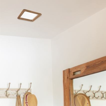 LED įleidžiamas lubinis šviestuvas WOODY SPOT LED/17W/230V 3000K graikinis riešutas 18,5x18,5 cm