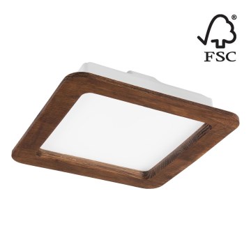 LED įleidžiamas lubinis šviestuvas WOODY SPOT LED/17W/230V 3000K vyšnia 18,5x18,5 cm