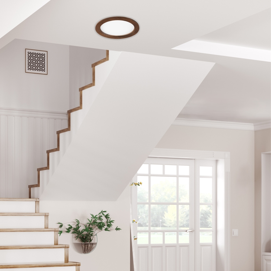 LED įleidžiamas lubinis šviestuvas WOODY SPOT LED/23,5W/230V 4000K vyšnia ø 23,5 cm
