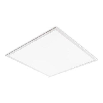 LED įleidžiamas lubų panelis DAVRO LED/40W/230V 4000K 59,5x59,5 cm baltas
