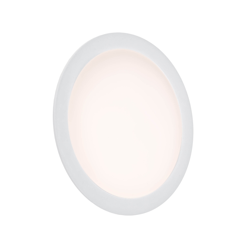 LED Įleidžiamas šviestuvas ALGINE 2in1 LED/12W/230V 4000K