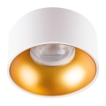 LED Įleidžiamas šviestuvas MINI RITI 1xGU10/25W/230V baltas/auksinis