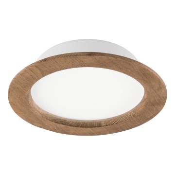 LED įmontuojamas šviestuvas WOODY SPOT LED/16,5W/230V 4000K riešutas ? 18,5 cm