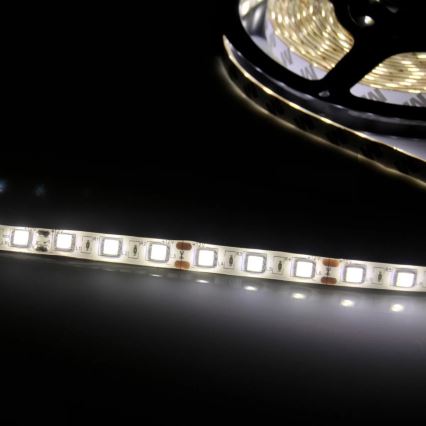 LED juosta 5m LED/10W/12V IP20 balta
