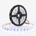 LED juosta LED/50W/12V 5m šaltai balta