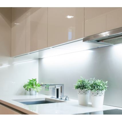 LED juosta TRAMO LED/500W/12V 50m 6500K