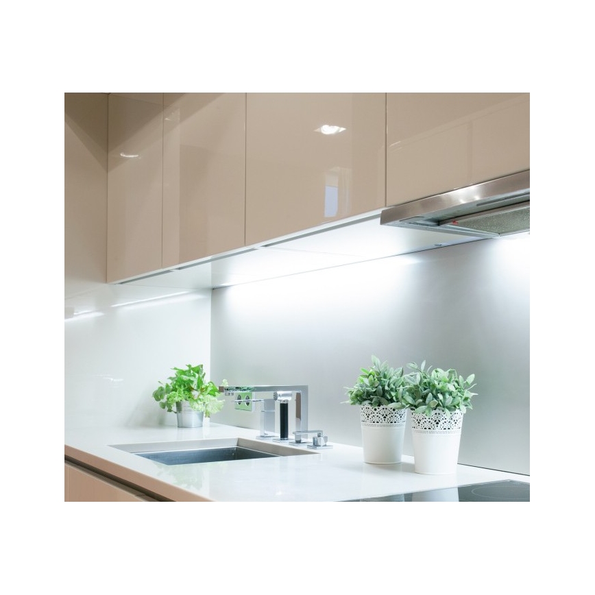 LED juosta TRAMO LED/500W/12V 50m 6500K