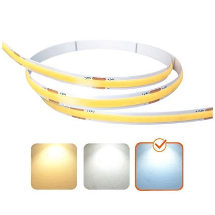 LED juosta TRAMO LED/500W/24V 50 m 6500K
