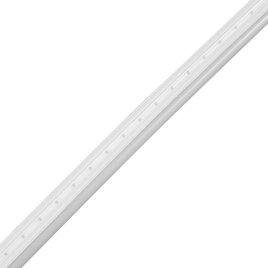 LED juostelė vonios kambariui NEON EKO-FLEX LED/250W/12V 4000K IP65 25m balta