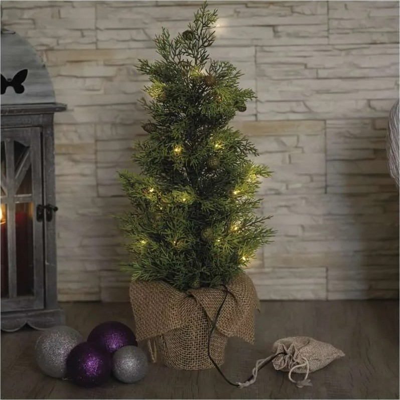 LED Kalėdinė dekoracija 30xLED/3xAA IP44