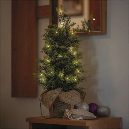 LED Kalėdinė dekoracija 30xLED/3xAA IP44