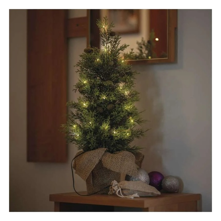 LED Kalėdinė dekoracija 30xLED/3xAA IP44