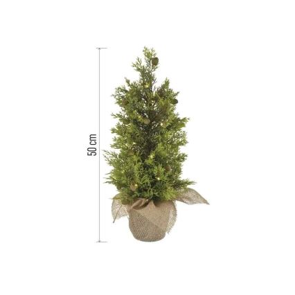 LED Kalėdinė dekoracija 30xLED/3xAA IP44