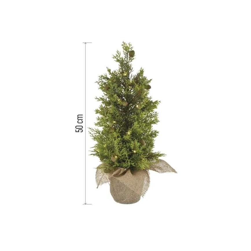 LED Kalėdinė dekoracija 30xLED/3xAA IP44