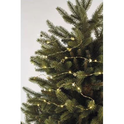 LED Kalėdinė girlianda 20xLED/2xAA 2,2 m šilta balta