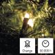 LED Kalėdinė lauko girlianda 120xLED/8,9m IP44 šiltai balta