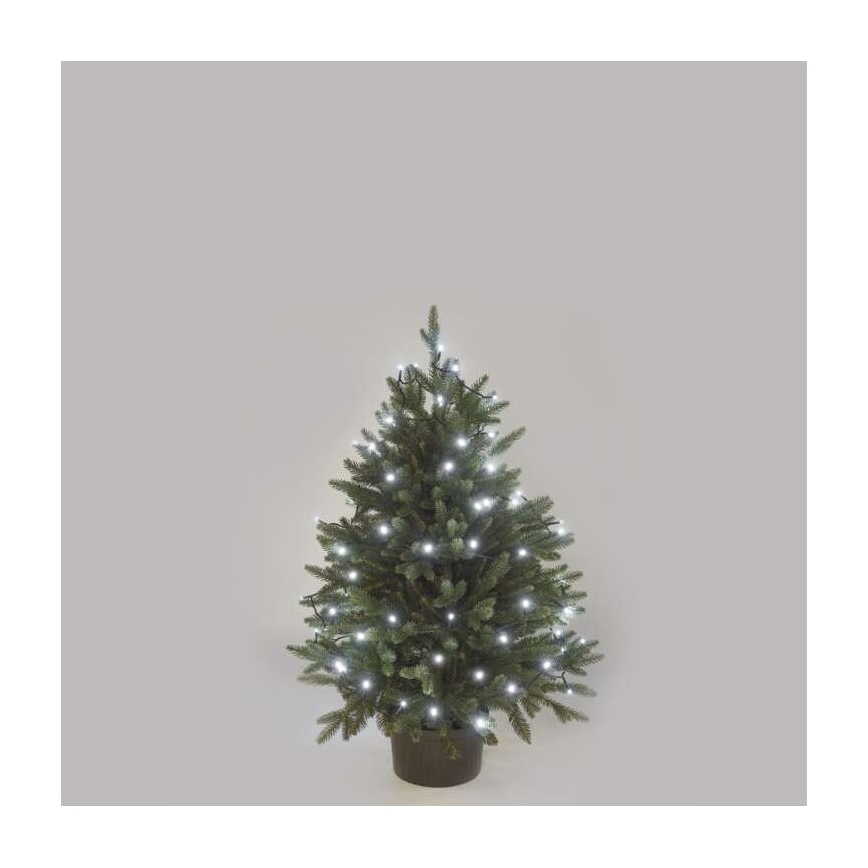 LED Kalėdinė lauko girlianda 40xLED/9m IP44 šaltai balta