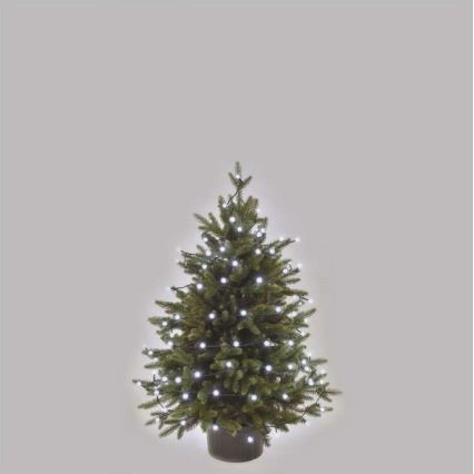 LED Kalėdinė lauko girlianda 80xLED/13m IP44 šaltai balta