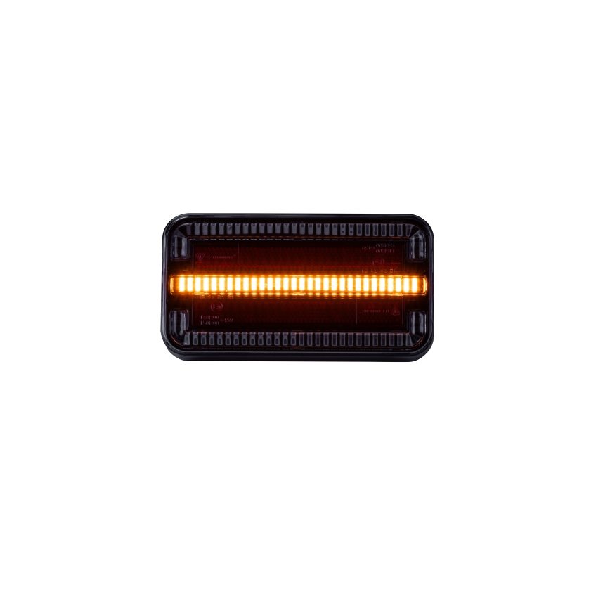 LED Kombinuota šviesa LED/12-24V IP65