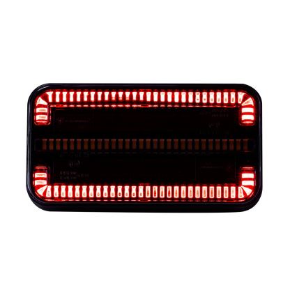 LED Kombinuota šviesa LED/12-24V IP65