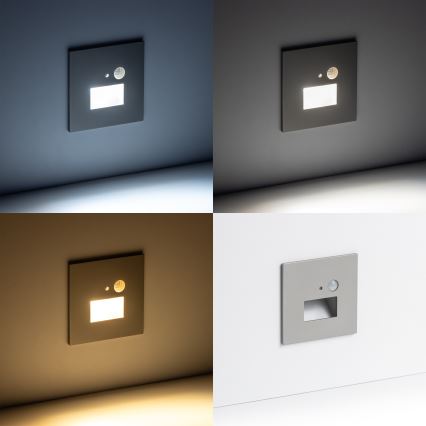 LED Laiptinės šviestuvas su judesio jutikliu LED/1,5W/230V 3000K/4000K/6500K