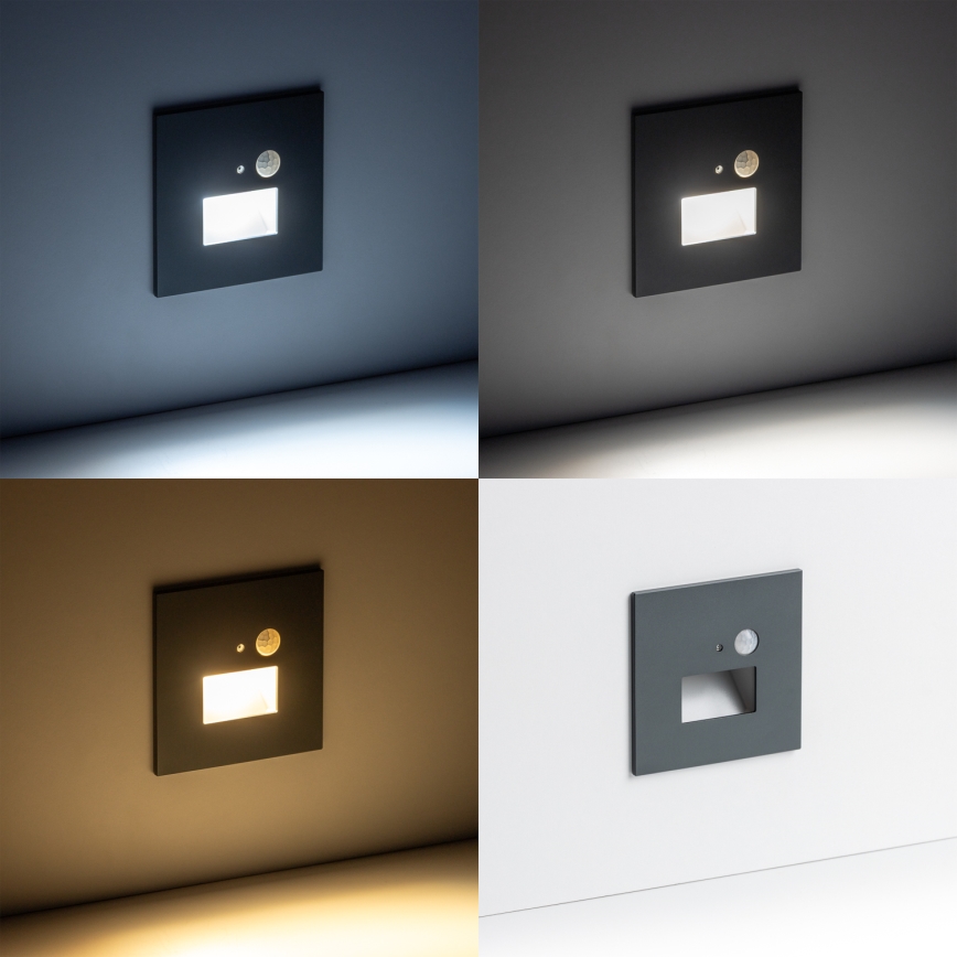 LED Laiptinės šviestuvas su judesio jutikliu LED/1,5W/230V 3000K/4000K/6500K