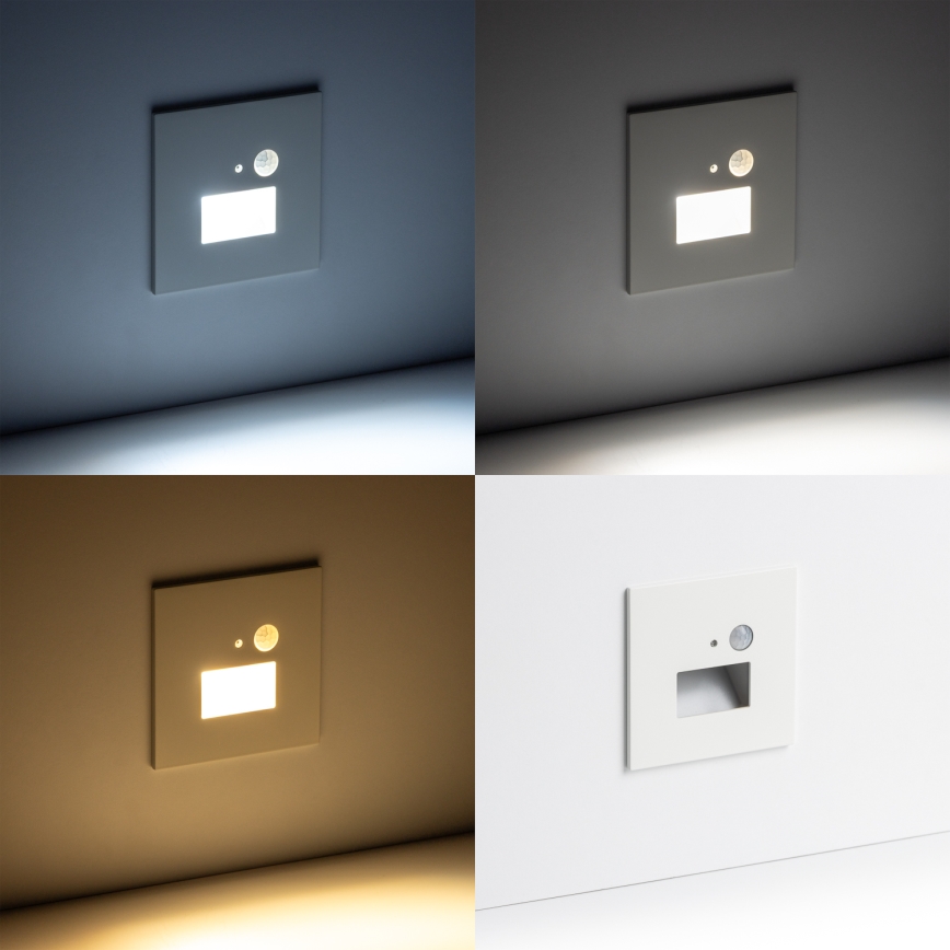 LED laiptų šviestuvas su judesio ir sutemų jutikliu LED/1,5W/230V 3000/4000/6500K baltas