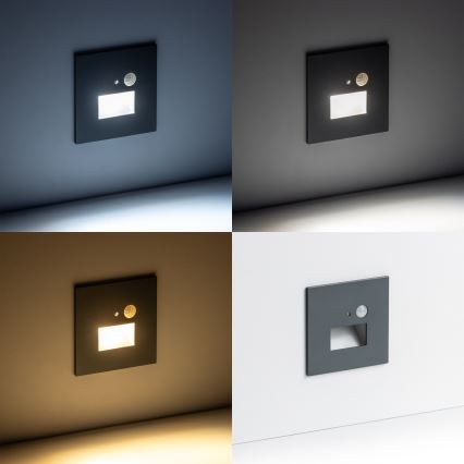 LED laiptų šviestuvas su judesio sensoriumi LED/1,5W/230V 3000K/4000K/6500K
