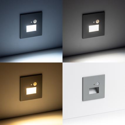 LED laiptų šviestuvas su judesio sensoriumi LED/1,5W/230V 3000K/4000K/6500K
