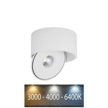 LED Lankstus Akcentinis šviestuvas LED/20W/230V 3000/4000/6400K CRI 90 balta