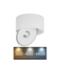 LED Lankstus Akcentinis šviestuvas LED/28W/230V 3000/4000/6400K CRI 90 balta
