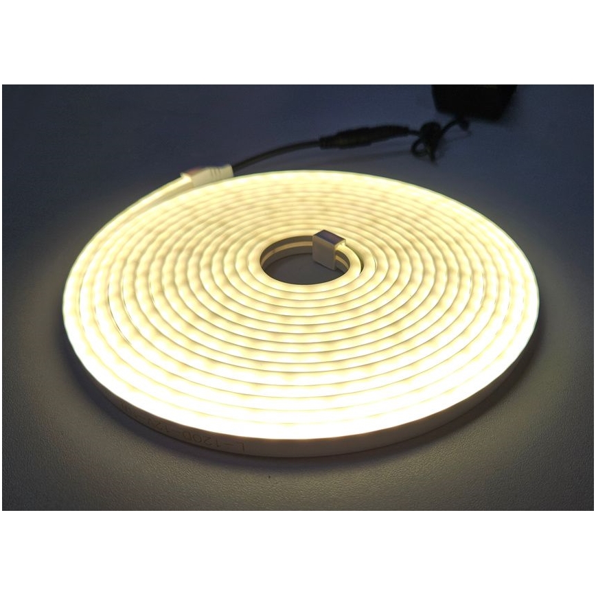 LED Lankstus juostelė NEON LED/10W/230V 5 m IP65 balta