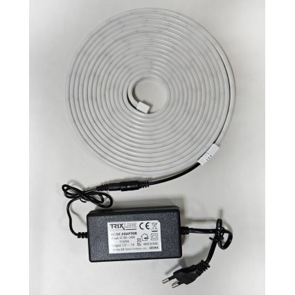 LED Lankstus juostelė NEON LED/10W/230V 5 m IP65 balta