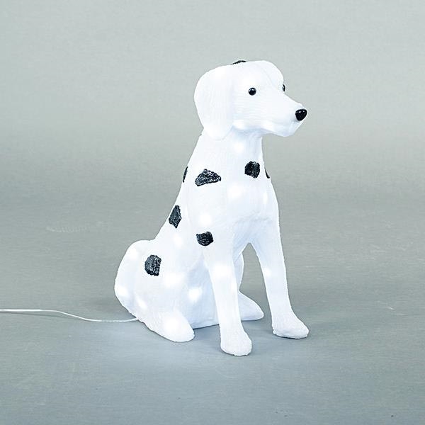 LED lauko dekoracija LED/3,6W/230V IP44 šaltai balta dalmatinė