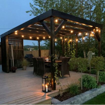 LED lauko dekoratyvinė girlianda 20xE27/1W/230V 11,44 m IP44 juoda