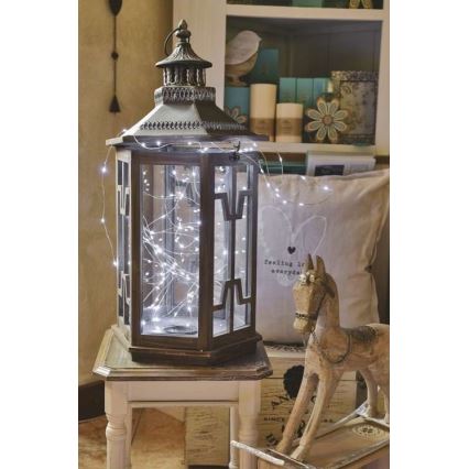 LED lauko girlianda 100xLED/15m IP44 šaltai balta