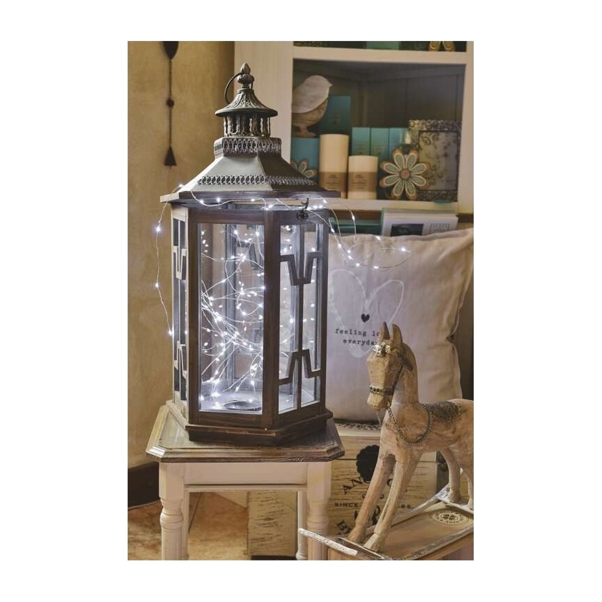 LED lauko girlianda 40xLED/9m IP44 šaltai balta