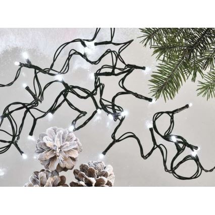 LED lauko girlianda, 80 LED, 13 m, IP44, šaltai balta